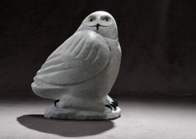 Dolomite Okpikjuak (Snowy Owl) NEW