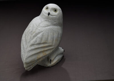 Dolomite Snowy Owl NEW