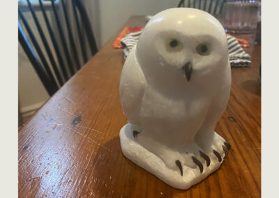 “Little Snowy Owlet” NEW