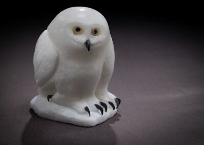 “Little Snowy Owlet” NEW