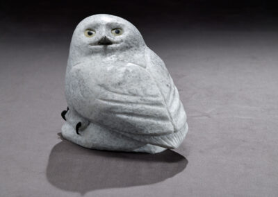 “Young Okpik” (Snowy Owl)