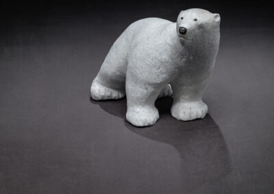 “Polar bear saying What’s Over There?” NEW